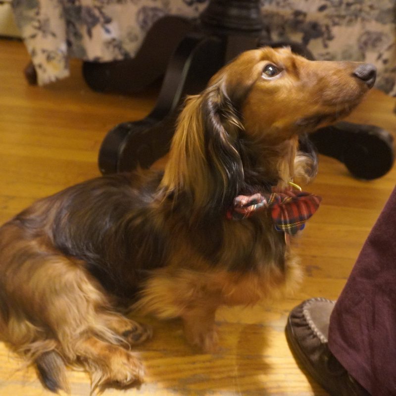 Russel from Tudor Energy standing by a delivery truck