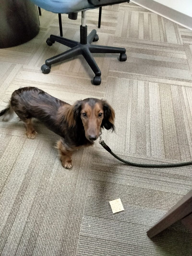 Russel from Tudor Energy answering customer questions