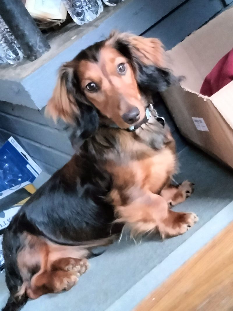 Russel from Tudor Energy reviewing service terms